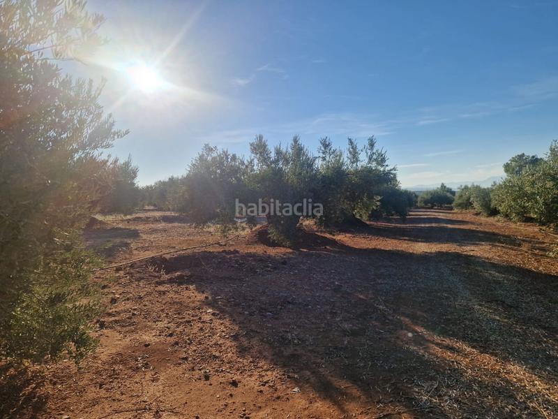 Foto 5d75d6dc-c464-42c2-a4b8-96ae0251ddeb. Terreny residencial a San Roque - La Cruz - La Rozuela Linares