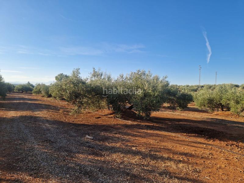 Foto a3d5a1eb-a234-4ff4-85cf-ef37473377c3. Terreny residencial a San Roque - La Cruz - La Rozuela Linares