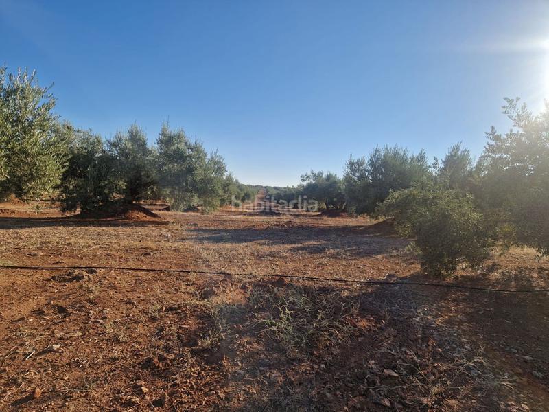 Foto d4158088-d57d-47f7-b86c-9078a30a0935. Terreny residencial a San Roque - La Cruz - La Rozuela Linares