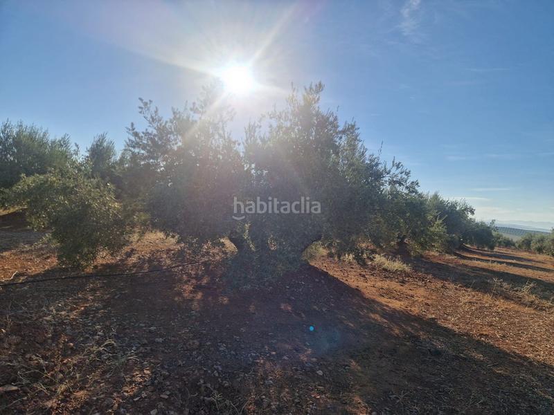 Foto f47c4a76-1de6-4114-ba6e-20353f839eb1. Terreny residencial a San Roque - La Cruz - La Rozuela Linares