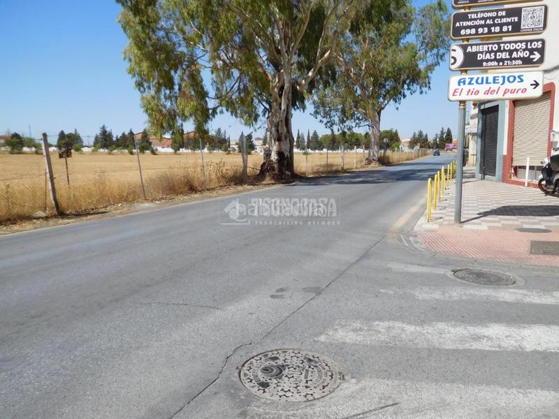 Foto ea3a3809-6481-425d-bf2f-bbd45121f562. Local comercial a Avda. De los Ogíjares Armilla