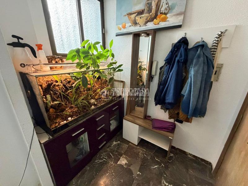 Foto 76157016-b624-404e-ab1e-199788782e30. Pis a San Antón Armilla