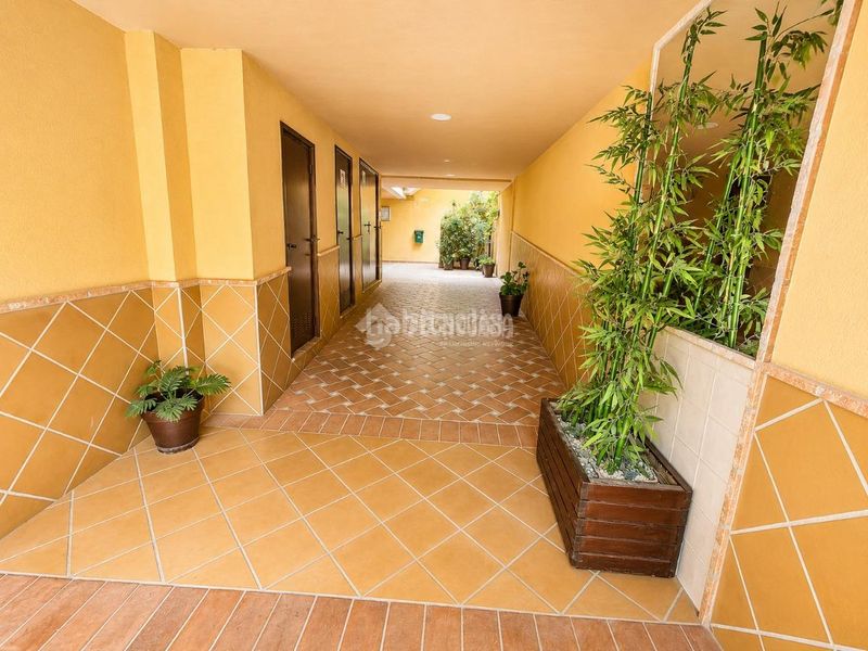 Foto 4903f766-cc4d-41f8-ae26-c448b3381366. Pis a Huétor Vega