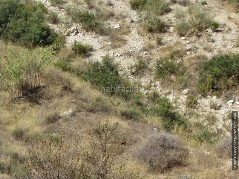 Foto f38008ef-38d7-4b1c-b758-d725787466d3. Maison avec chauffage dans Sorbas