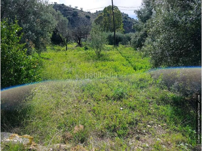 Foto 12a1d163-bfc6-4c04-95f6-0ae262181744. Masia amb calefacció a Bédar