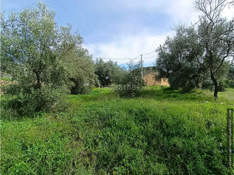 Foto 331f81f8-8ca1-4619-805e-92723a42fc05. Masia amb calefacció a Bédar