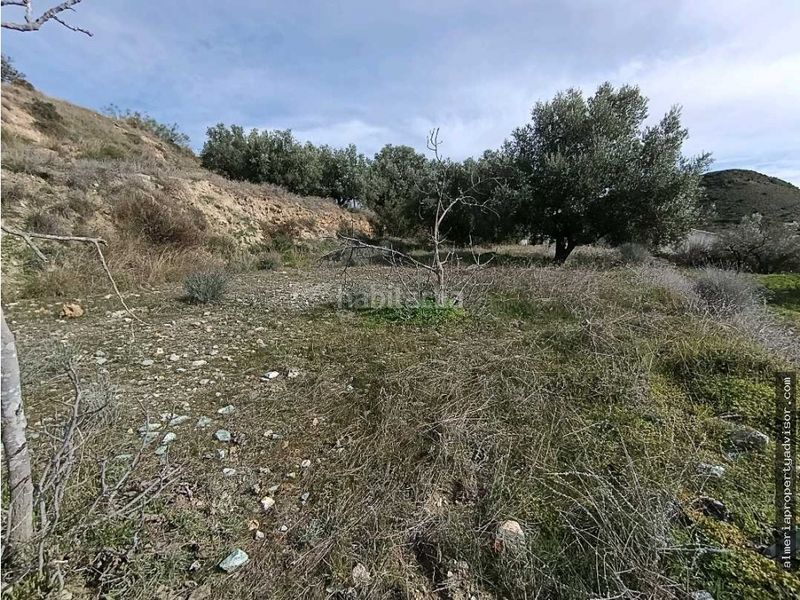Foto 379159ca-6f23-48d6-b8d1-8b6727630a9e. Masia amb calefacció a Bédar