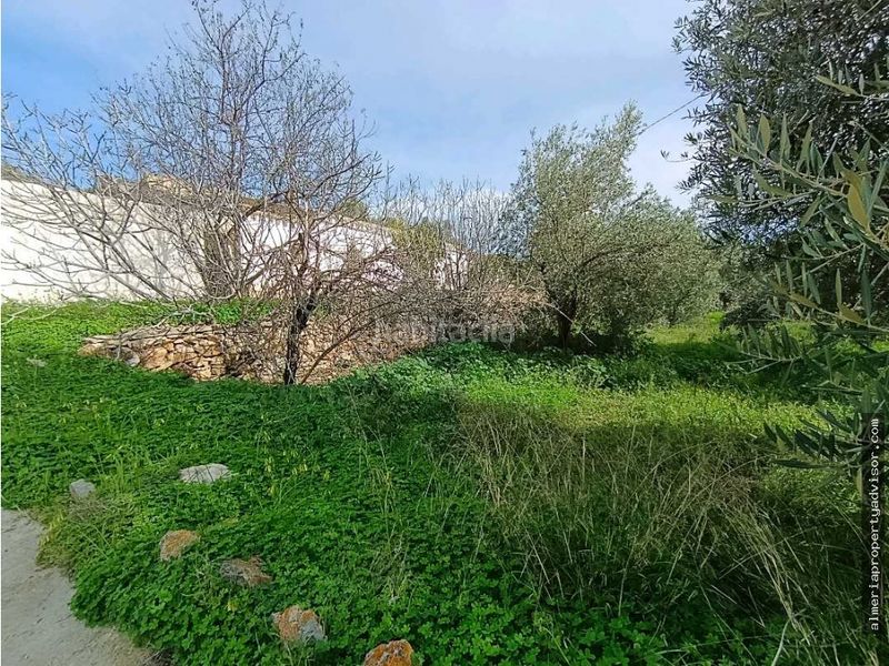 Foto 6a624229-fd36-4558-80f0-2237563134ac. Masia amb calefacció a Bédar
