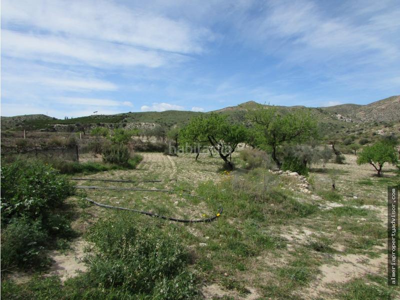 Foto 28f54975-3b0d-4c25-bd26-3ac7c2e1d9f3. Mas dans Sorbas