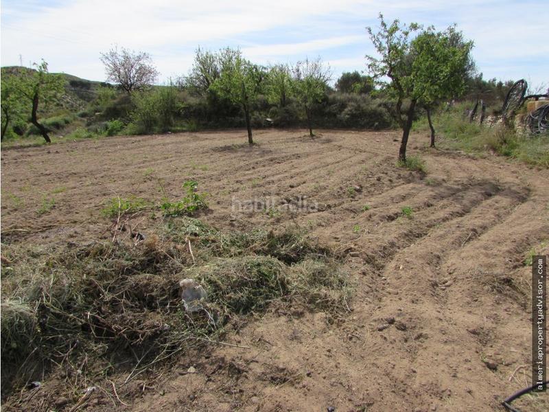 Foto 308673fc-f709-44f7-bfc4-d380fb6d8a2b. Mas dans Sorbas