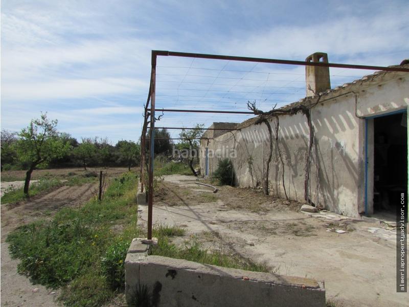 Foto 594fe503-f8c2-4bd0-8c63-57c57c2341ff. Mas dans Sorbas