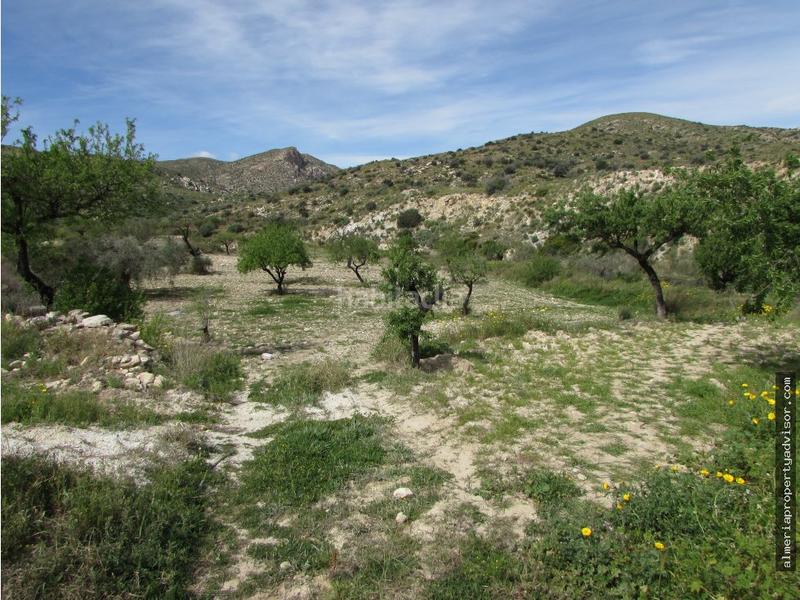 Foto 8161310a-6be3-4fd4-a3a1-07fe3d0e185c. Mas dans Sorbas