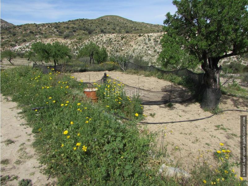 Foto bb49ed61-d9a9-4a52-9fbe-4ba3245e2fa4. Mas dans Sorbas