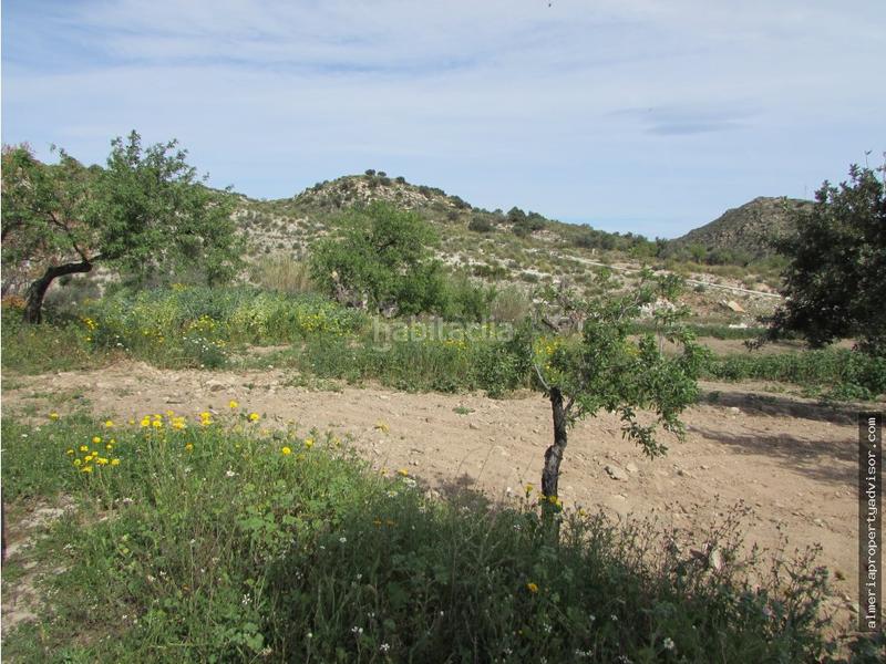 Foto c2a7789d-1f17-4a08-bb0a-0467dec4e520. Mas dans Sorbas