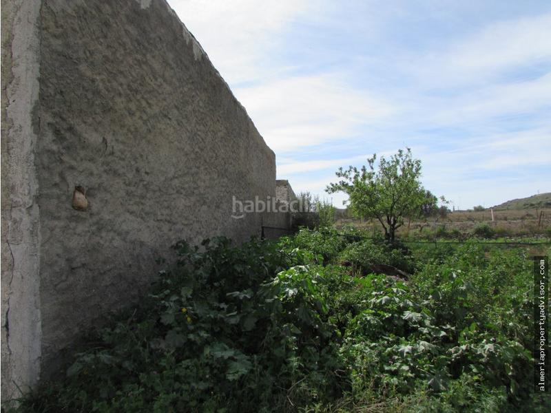 Foto d18b5623-5aef-4002-9bb8-db23f10619a2. Mas dans Sorbas