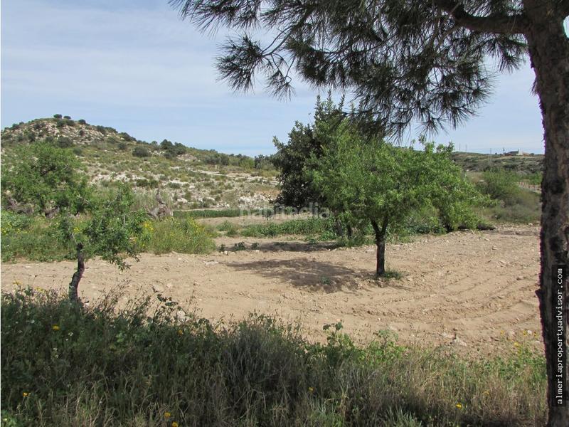 Foto f0f00da1-6f68-4b5c-af84-ac01e2d599e2. Mas dans Sorbas