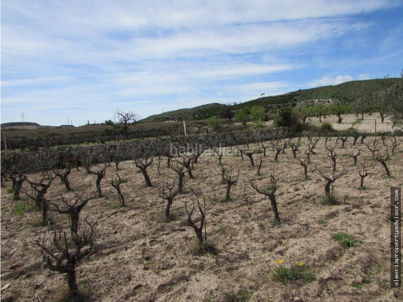 Foto f82599a5-1d2e-429a-bd5f-8e196eb39f1c. Mas dans Sorbas