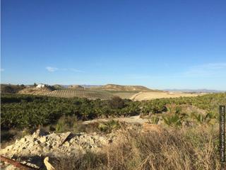 Bauernhof in Turre. Finca palmeras turre