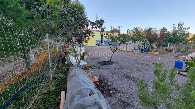 Foto 7a557dc6-6272-43dd-a74b-87fa87ee1e6a. Masia a Felix