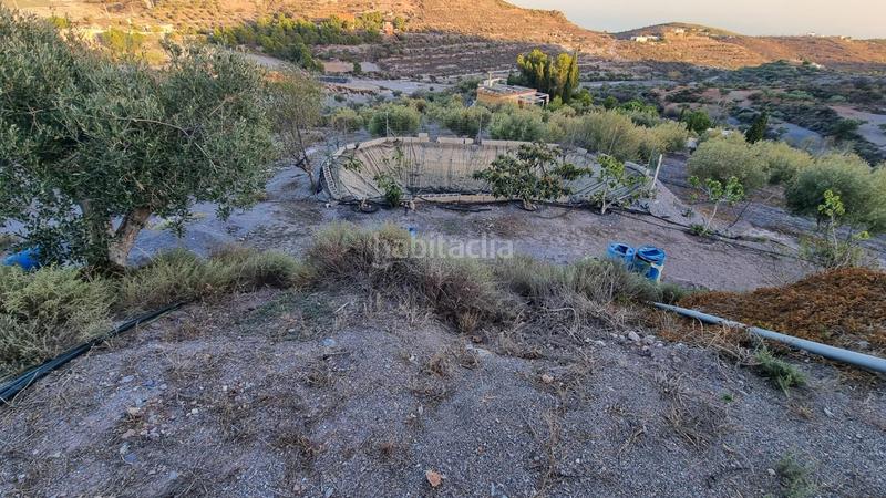 Foto 99ec6a83-c04a-4167-99ef-b68dd9af4e56. Masia a Felix