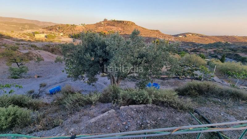 Foto a64fef28-3c3a-47ee-a219-be81a12c82a2. Masia a Felix