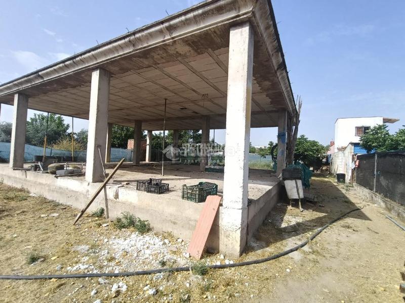 Foto fe755935-5c68-4b23-922e-7a5b5c1d3a1a. Masía casa rural en venta en Alcolea