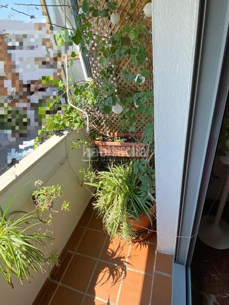 Foto 190f86c3-429c-4613-b813-cae188a5c3e6. Piso  en venta en cordoba en Fátima - Levante Córdoba