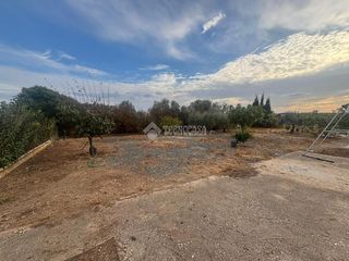 Finca rústica a Alcolea. Terrenos en venta en cordoba