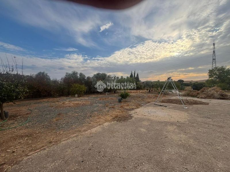 Foto 86d2afed-4bd6-4c2c-ab2f-0df868e64a0b. Finca rústica a Alcolea Córdoba