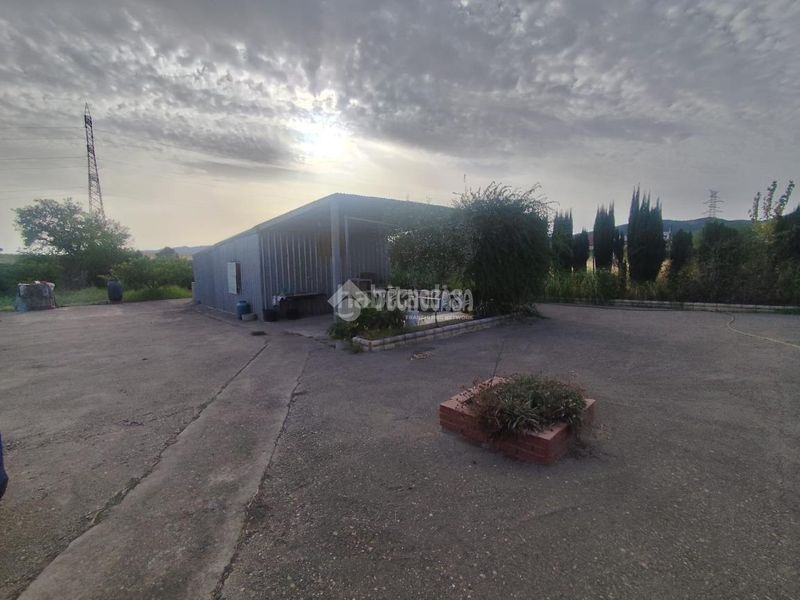 Foto b91b7e29-f024-4c3d-92eb-1e24a1beae0f. Finca rústica a Alcolea Córdoba