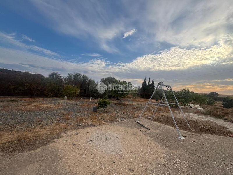 Foto c68b1776-9107-453d-b8f1-05ee02d55201. Finca rústica a Alcolea Córdoba