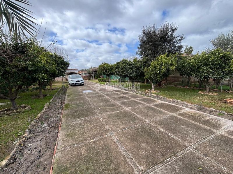 Foto 4fa9c322-d2c3-4c16-91d6-4544583ecff0. Masia a Alcolea Córdoba