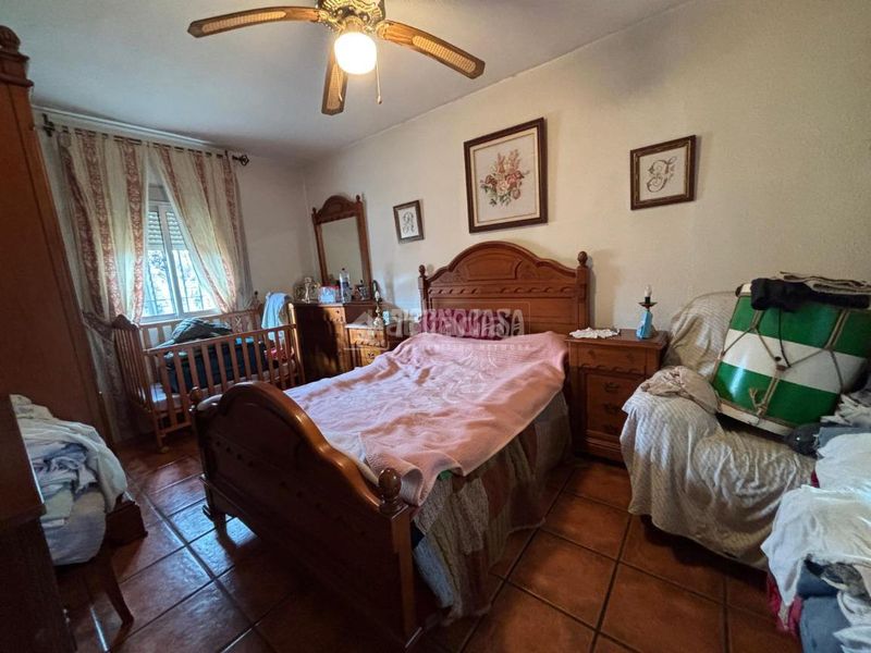 Foto cfe5169c-dc47-468f-ba2e-038c2a7c7665. Masia a Alcolea Córdoba