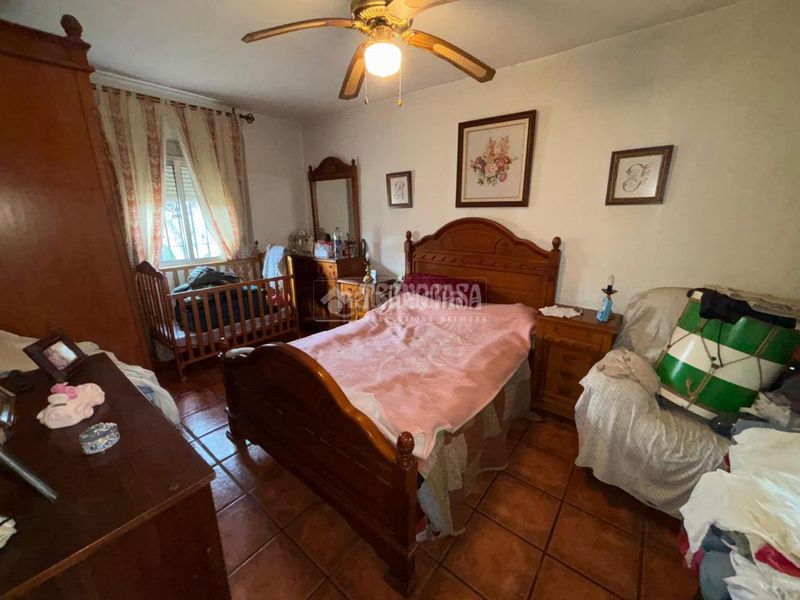 Foto e13f96fd-0982-4e29-b984-95e7b9df6f17. Masia a Alcolea Córdoba