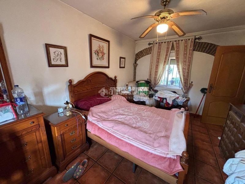 Foto e562a2a2-d928-4172-b517-dcbaea82b5ac. Masia a Alcolea Córdoba