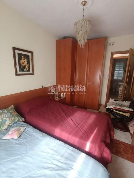 Foto 37587002-fc68-4827-93ad-8c0c053e7b7f. Pis a Viñuela - Rescatado Córdoba