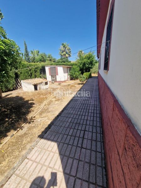 Foto 6ac77454-66eb-4d58-8393-f3631fac83c3. Masia amb calefacció aparcament a Alcolea Córdoba