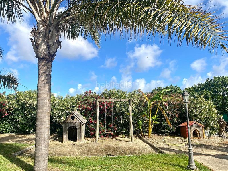 Foto 02c2f66d-e7b4-4821-9596-43b83293b456. Finca rústica a Las Palmeras-Dehesilla Sanlúcar de Barrameda