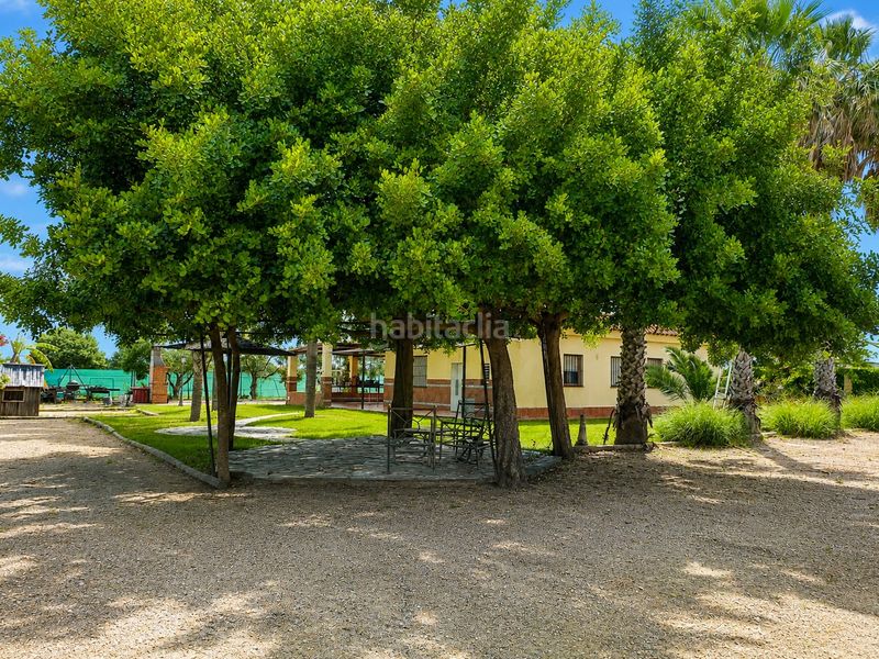 Foto 25f9305d-20aa-4791-8952-65e23793e55c. Finca rústica a Las Palmeras-Dehesilla Sanlúcar de Barrameda