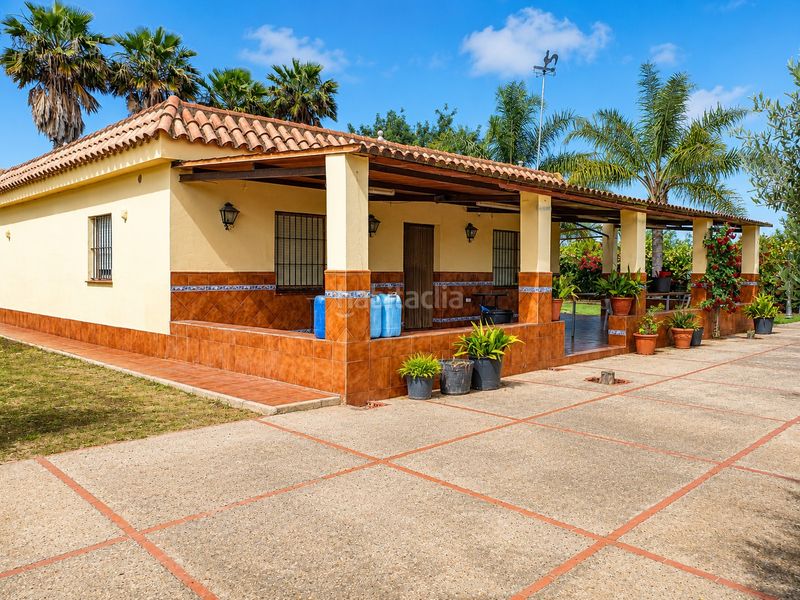 Foto 312e9f3c-5196-4942-a0a7-b98b7a62a9c3. Finca rústica a Las Palmeras-Dehesilla Sanlúcar de Barrameda
