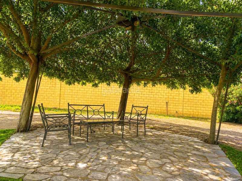 Foto 5f9c073d-9994-4fa9-990a-6c156ef9ef8f. Finca rústica a Las Palmeras-Dehesilla Sanlúcar de Barrameda