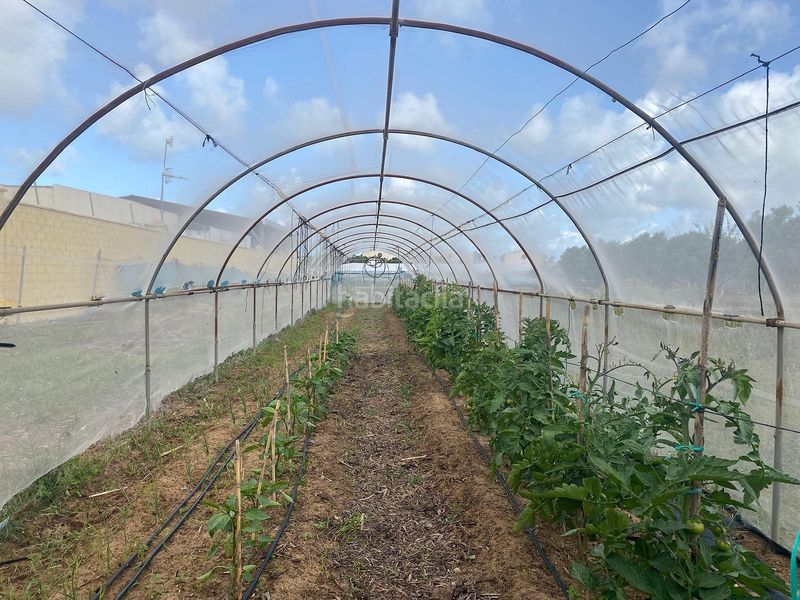 Foto a8247b6a-50ca-4011-81df-6e2997916c44. Finca rústica a Las Palmeras-Dehesilla Sanlúcar de Barrameda