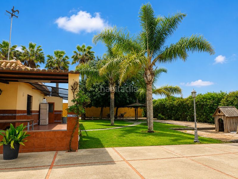Foto b7ae4ef8-6346-46cb-9976-6bff474b0880. Finca rústica a Las Palmeras-Dehesilla Sanlúcar de Barrameda