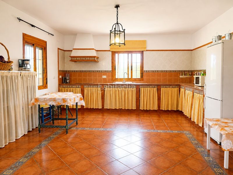 Foto f6d265dd-ea1a-4b3d-8963-3ce0d2f35cdb. Finca rústica a Las Palmeras-Dehesilla Sanlúcar de Barrameda