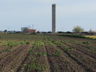 Finca rústica a Calle mayor 9. ¡¡venta terreno rustico / agricola en ctra. torre la reina - san