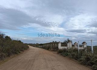 Finca rústica a Calle dehesa 10. ¡¡venta de finca rústica en gerena (sevilla)!!