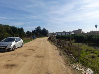 Finca rústica  N/a. Oportunidad finca de naranjo