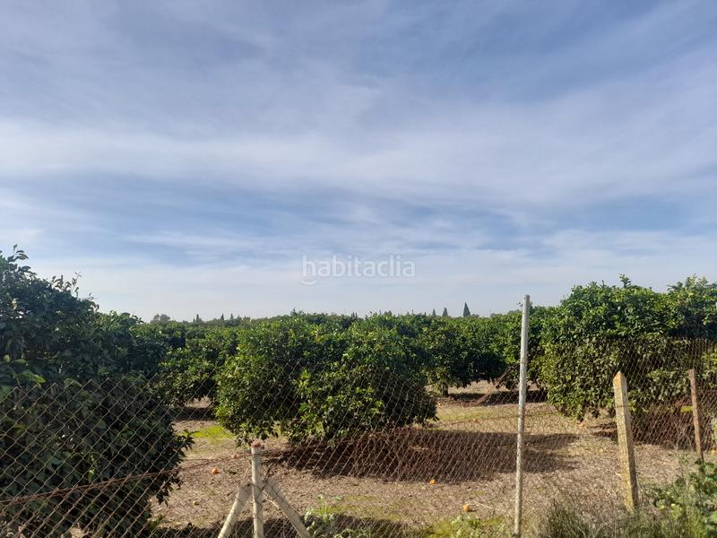 Foto b5f0720c-92fb-4bdf-9aac-9cd62cd4e6b5. Finca rústica oportunidad finca de naranjo en Algaba (La)