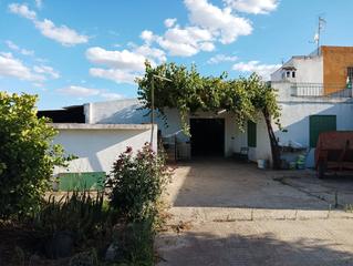 Rural plot  Calle virgen de los reyes. Venta de terreno rustico agricola