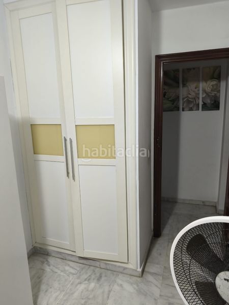Foto c847b310-b622-49a8-94d8-98193836b0e5. Pis a Algaba (La)